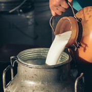 Mana yang Paling Berkhasiat: Susu Sapi atau Kambing?