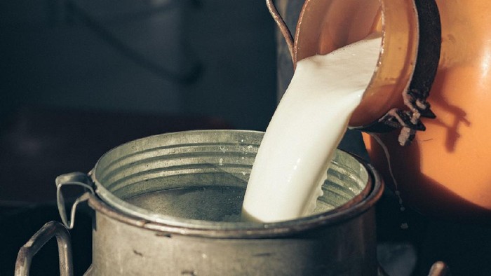Mana yang Paling Berkhasiat: Susu Sapi atau Kambing?