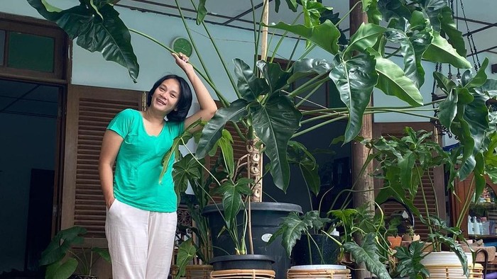 7 Potret Koleksi Tanaman Hias Dian Nitami, Ukuran Jumbo Sampai Disebut 'Anak Ijo'