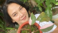 <p>Bunda empat anak ini menyukai tanaman hias jenis philodendron, Bunda. Ia juga mengoleksi philodendron pink princess yang warnanya sangat cantik, lho. (Foto: Instagram: @bu_deedee)</p>
