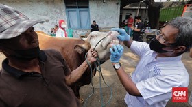 FOTO: Mencegah Penularan Penyakit dari Hewan Kurban