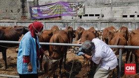 Kementan Bentuk Gugus Tugas Tangani Penyakit Mulut dan Kuku Sapi