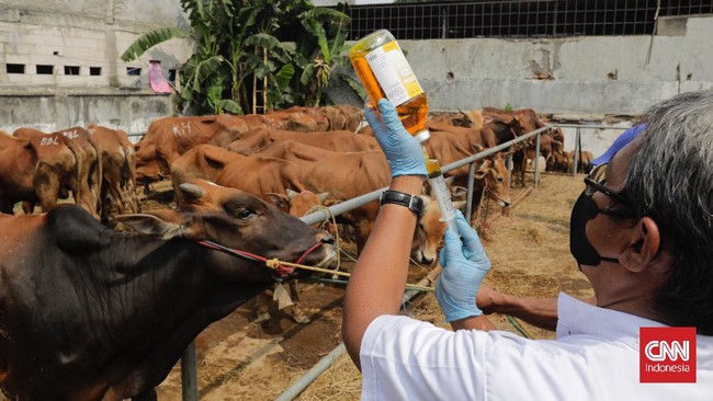 Pemprov DKI mengizinkan pemotongan hewan kurban saat Iduladha dilaksanakan di luar RPH dengan tetap mematuhi prokes.