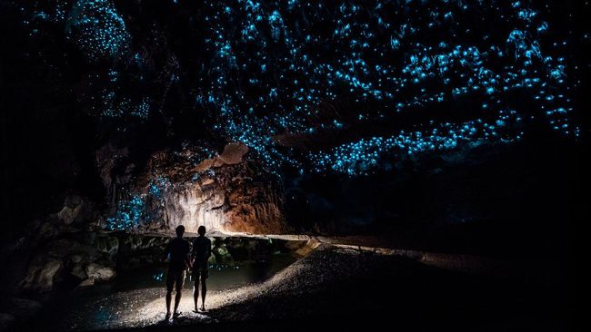 Di Gua Waitomo wisatawan bisa melihat kawanan cacing bercahaya yang membuat pemandangan mirip di dunia lain.