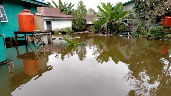 BNPB mengingatkan sejumlah daerah dari Bogor, Tasikmalaya, Banyumas, hingga Donggala Sulteng berstatus waspada banjir malam ini.