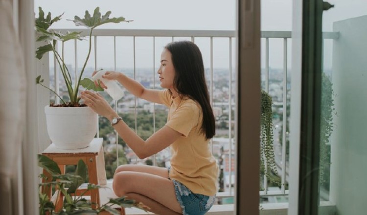 Bagi Bunda yang punya tanaman hias di rumah, yuk kenali ciri-ciri tanaman hias tidak sehat tapi tampak subur. Pahami perbedaannya mulai sekarang ya, Bun.
