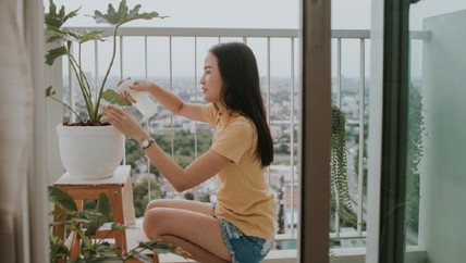 Detik Network
