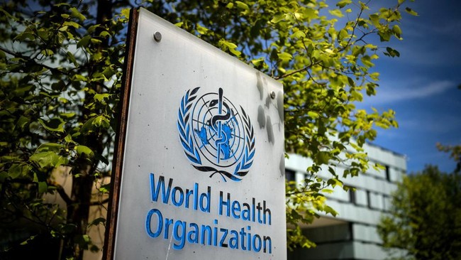 Organisasi Kesehatan Dunia (WHO) resmi mengganti nama cacar monyet menjadi Clade demi mencegah stigmatisasi.