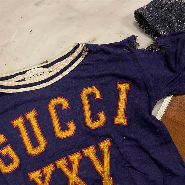 Penampakan Baju Mahal Rachel Vennya yang Dimakan Rayap Penampakan Baju Mahal Rachel Vennya yang Dimakan Rayap