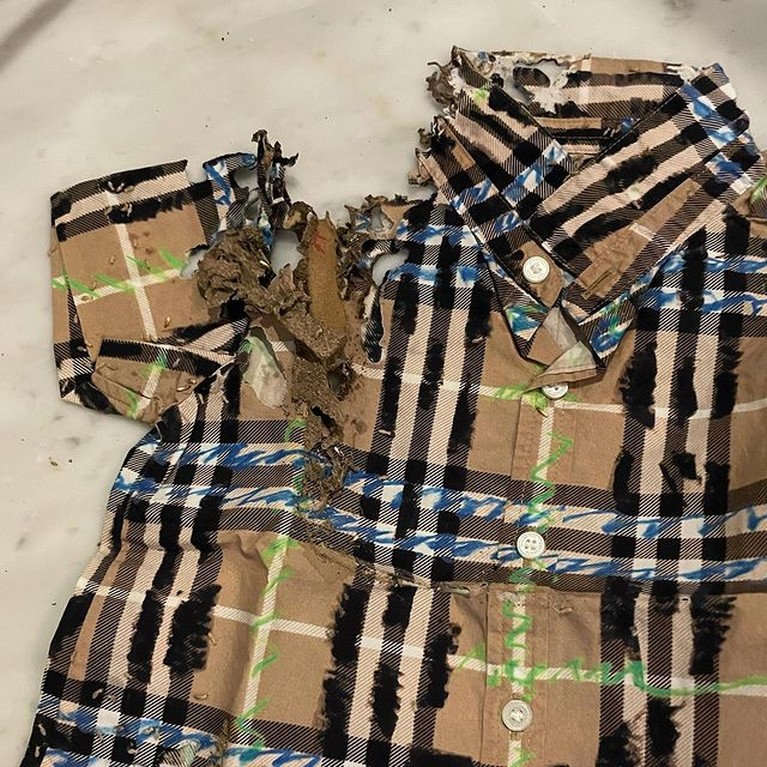 Penampakan Baju Mahal Rachel Vennya yang Dimakan Rayap Penampakan Baju Mahal Rachel Vennya yang Dimakan Rayap