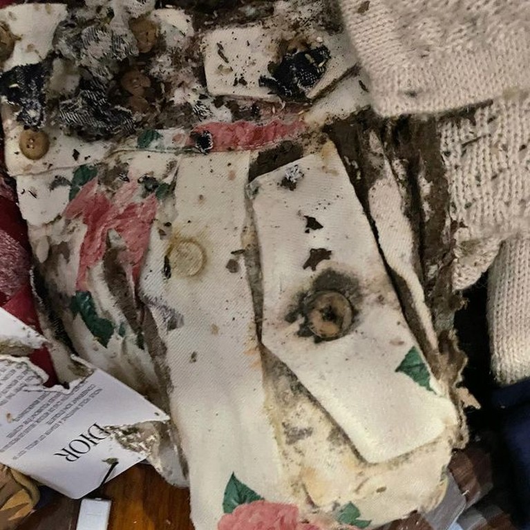 Penampakan Baju Mahal Rachel Vennya yang Dimakan Rayap Penampakan Baju Mahal Rachel Vennya yang Dimakan Rayap