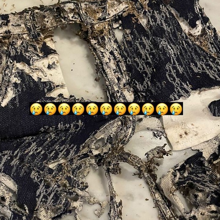 <p>Beberapa pakaian berbahan tebal seperti celana sampai bolong digerogoti oleg ganasnya gigitan rayap. (Foto: Instagram: @rachelvennya)</p>