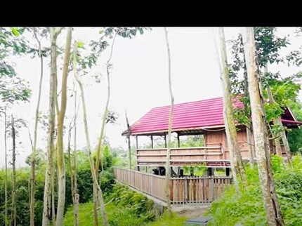 Terpopuler: Rumah Hutan Dodit Mulyanto - Panggilan Anak William untuk Camilla