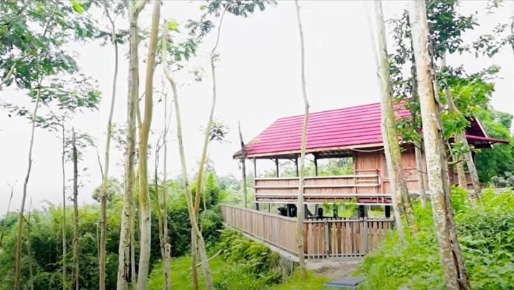 Rumah tengah hutan Dodit Mulyanto
