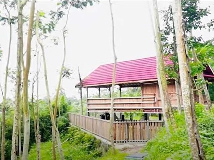 9 Potret Rumah Tengah Hutan Milik Stand Up Comedian Dodit Mulyanto
