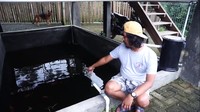 <p>Tak hanya itu, di bawah hunian dengan kapasitas sekitar 50 orang itu juga memiliki kolam ikan. Untuk pengairannya, Dodit menggunakan sistem melingkar. Air pembuangan ikan kemudian dialirkan ke tanaman hidroponik, sisanya akan disaring dengan filter dan kembali ke kolam tersebut. (Foto: YouTube: Dodit Mulyanto)</p>