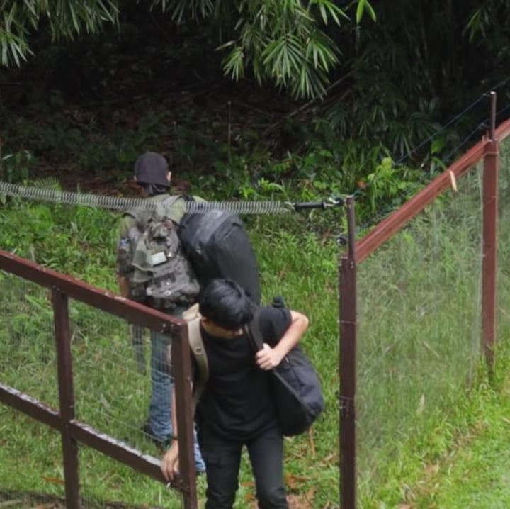 <p>Rumah Prada dikelilingi dengan pagar yang terbuat dari kayu dan kawat, Bunda. Desainnya pun sederhana namun sangat aman, lho. (Foto: YouTube Prada Kalaweit)</p>