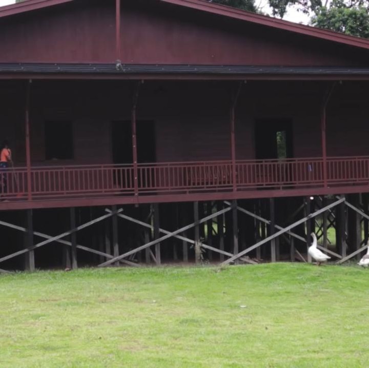 <p>Rumah Prada sendiri terbuat dari kayu, Bunda. Bangunan dibuat menyerupai rumah panggung yang bertingkat. (Foto: YouTube Prada Kalaweit)</p>
