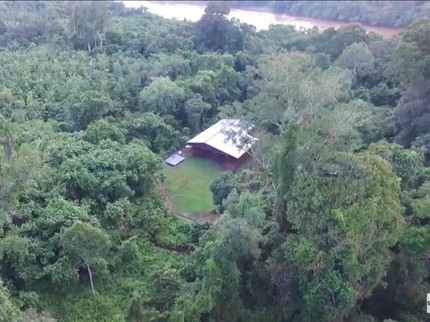 9 Potret Rumah Panggung Modern di Tengah Hutan Kalimantan, Milik Siapa?