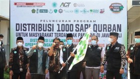 ACT Distribusikan 1.000 Sapi Kurban ke Jawa dan Bali