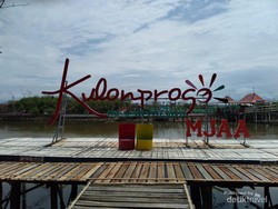 Hutan Mangrove Kulon Progo, Tempat Wisata Alam dan Edukasi yang Mempesona