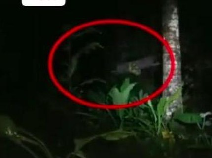 Teror Lampor 'Keranda Terbang' Saat Pandemi COVID, Ini Analisa Sosiolog