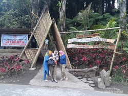 Tuur Maasering, Wisata Hutan Aren dengan Spot Instagramable