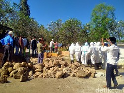 Politikus NasDem-Anggota DPRD Dompu NTB Meninggal Akibat COVID-19