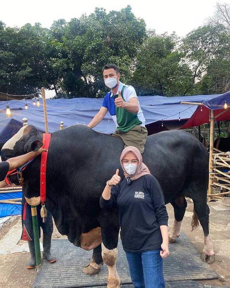 Raffi Ahmad merayakan Idul Adha dengan menyiapkan 10 ekor sapi. Yuk kita intip penampakan sapi kurban milik Raffi!