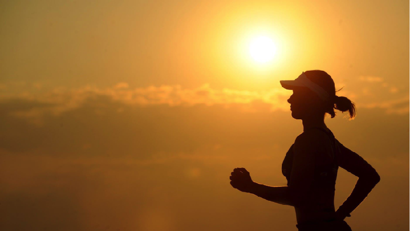 Vitamin D merupakan vitamin larut lemak yang sangat penting untuk tubuh manusia.