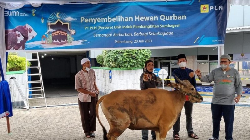PLN Group menyumbangkan 2.977 hewan kurban dalam peringatan Hari Raya Idul Adha 1442 Hijriah yang jatuh pada 20 Juli 2021.