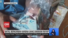 VIDEO: Batal Berkurban Karena Uang Dimakan Rayap
