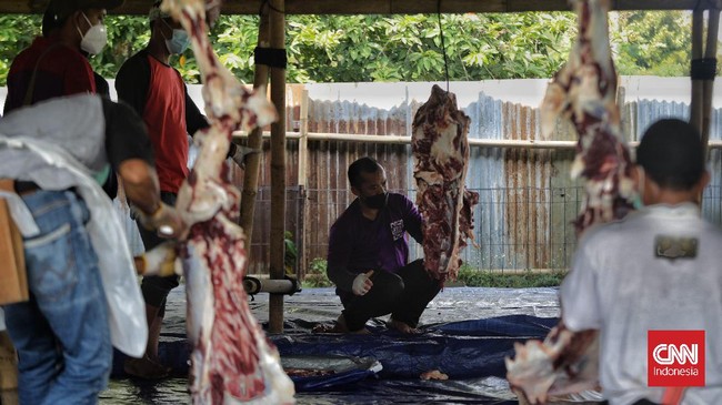 Petugas KPKP Jakarta Pusat memusnahkan 22 kilogram organ hewan kurban tak layak konsumsi karena mengandung cacing hati yang berpotensi menular ke manusia.