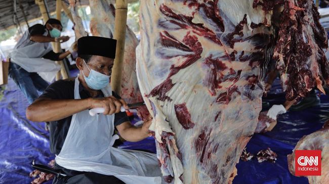 Selain berbagi daging hewan, nyatanya juga menyisakan limbah, bahkan ada ikan mati keracunan jeroan kurban.