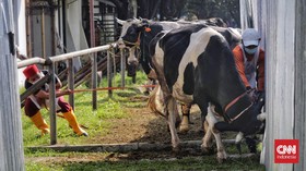 Warga Jatim Khawatir Santap Daging Sapi Usai Wabah PMK Merebak