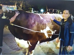 Kapolri, Menteri Hingga Selebgram Berkurban di Ponpes Gus Miftah