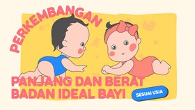 INFOGRAFIS: Ukuran Panjang dan Berat Badan Ideal Bayi