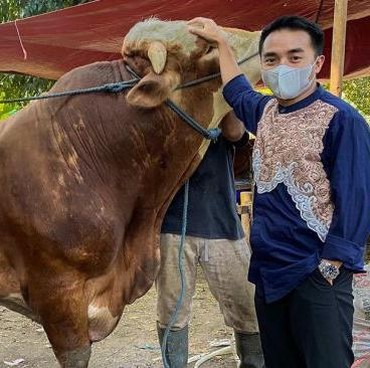 Taqy Malik Bersyukur Bisa Kurban Sapi Berbobot 'Wow'