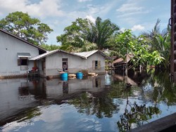 Sudah Sepekan, Banjir di Mempawah Kalbar Belum Juga Surut