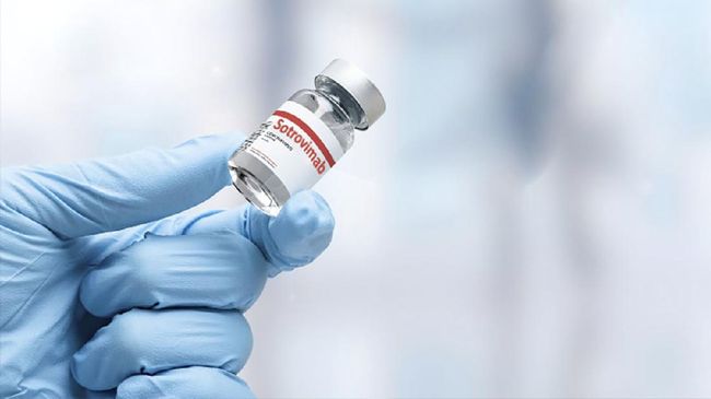 Kata Dokter Soal Sotrovimab yang Diklaim Cegah Kematian Covid Uni Emirat Arab mengizinkan penggunaan obat sotrovimab. Obat covid-19 ini disebut mampu menurunkan tingkat kematian pasien covid-19. Benarkah klaim itu?
