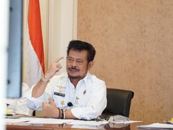 Mentan Sebut Hewan yang Kena Mulut-Kuku Bisa Dikonsumsi, Asalkan...