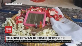 VIDEO: Tradisi Hewan Kurban Bersolek
