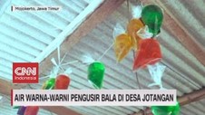 VIDEO: Air Warna-warni Pengusir Bala di Desa Jotangan