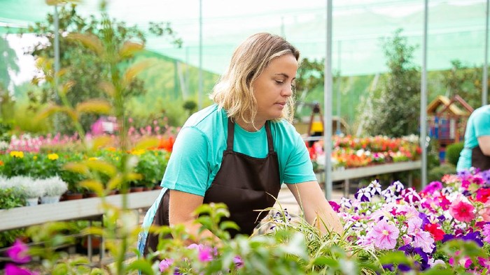 Siapa Sangka, 5 Kondisi Tanaman Hias Ternyata Mencerminkan Kesehatanmu Saat Ini Lho!