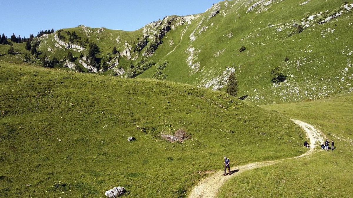 FOTO: Yves Auberson, Penakluk Alpen dan Parkinson
