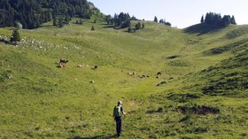 FOTO: Yves Auberson, Penakluk Alpen dan Parkinson