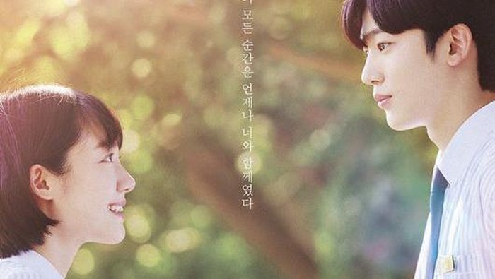 A Love So Beautiful