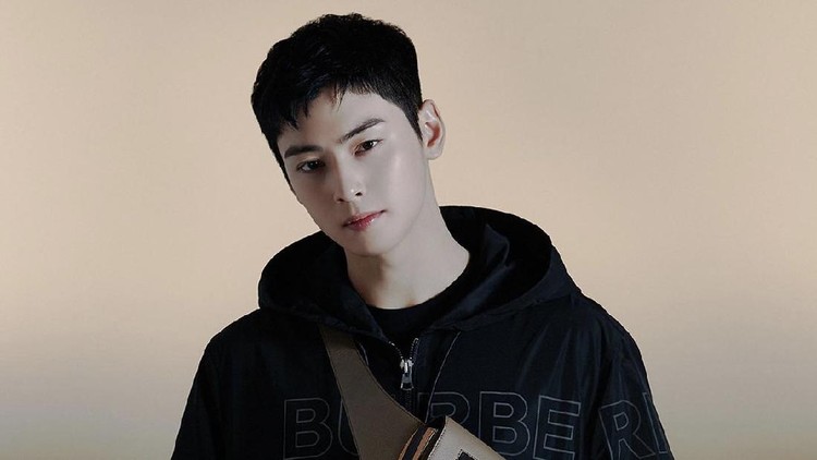 Cha Eun Woo Cha Eun Woo