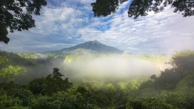 Alasan Hutan Sumatera Masuk 'Daftar Neraka' UNESCO