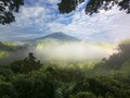 Alasan Hutan Sumatera Masuk 'Daftar Neraka' UNESCO